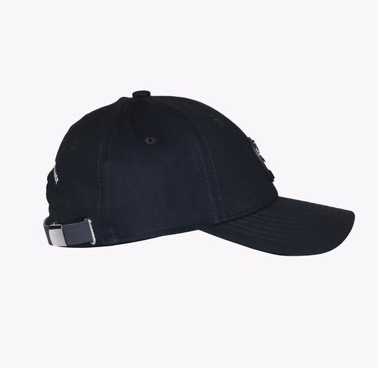 Patrouille de France Cap Fly Navy